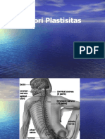 Plastisitas Otak