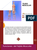 Tejido Muscular 2do PDF