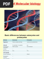 Basics of Molecular Biology