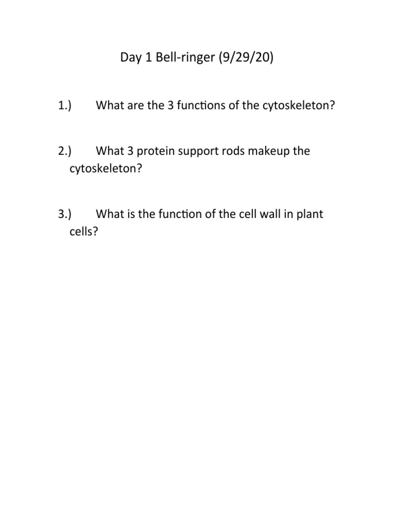 Cytoskeleton Functions and Structure | PDF