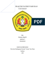 Laporan Praktikum Pertumbuhan Tanaman