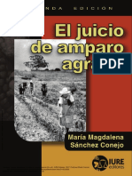 Amparo Agrario (2a._ed.) 1.pdf