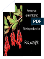 Fák, Cserjék I PDF