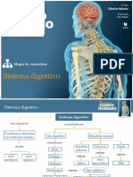 Sistema Digestivo - Resumo 2 Da Materia de CN - 9 Ano