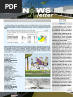 Newsletter Outubro 2020