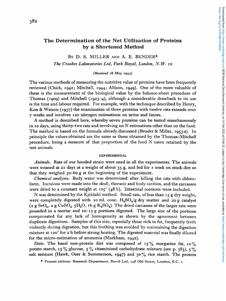 Protein Utilization in Rats | PDF | Experiment | Food And Drink