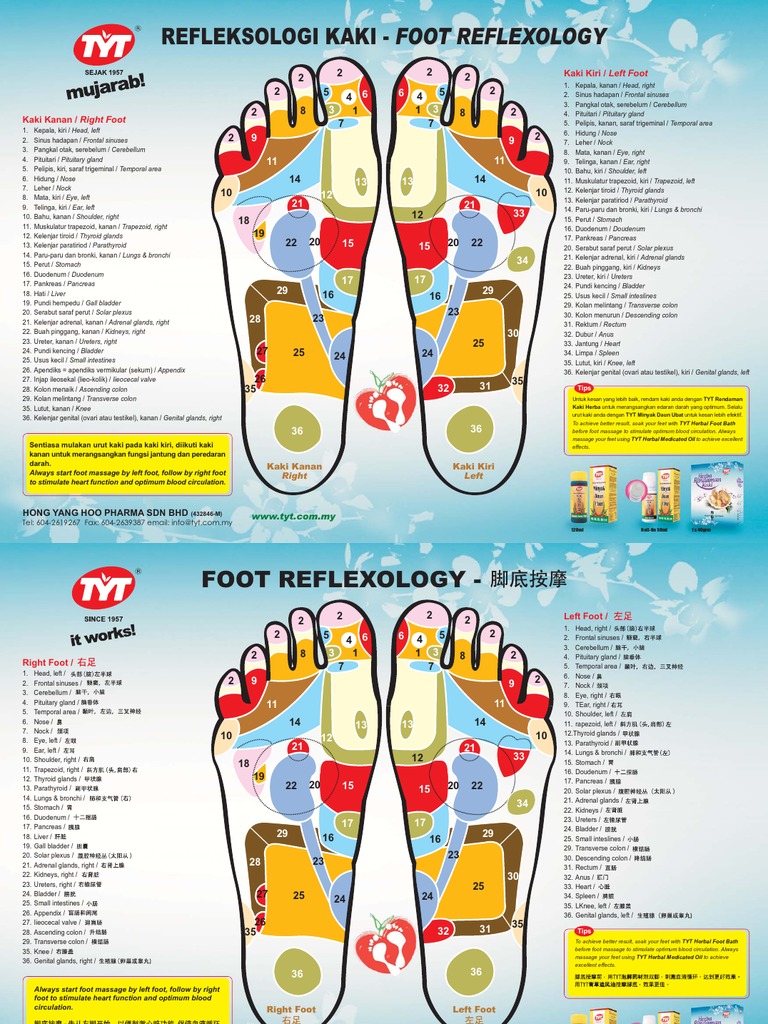 Footreflexologychart 01 | PDF