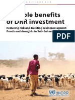 Policy Brief Multiple Benefits of DRR Investment