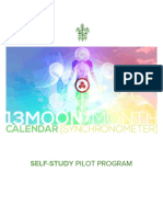 13moon SelfStudy Pilot-Program PDF