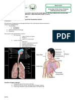 Hand Out 3 Respiratory System Overview PDF