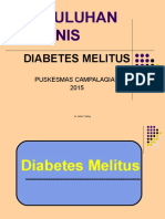 Penyuluhan Rolanis: Diabetes Melitus