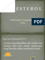 Prolanis Kolesterol.pptx