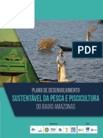 Plano de Desenvolvimento Sustentável Da Pesca e Psicultura Do Baixo Amazonas