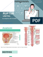 PPT_Minggu III_Nurul Maghfirah_Bedah Urologi_Ruptur Uretra-1