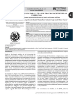 Politraumatismo Gatos PDF