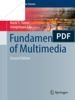 2014 Book FundamentalsOfMultimedia PDF