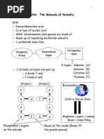 dna and protein synthesis notes