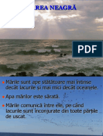 Marea Neagra - Pps