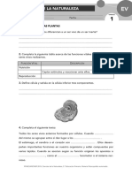 N t-1.pdf