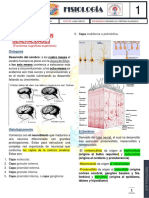 Neurofisiología