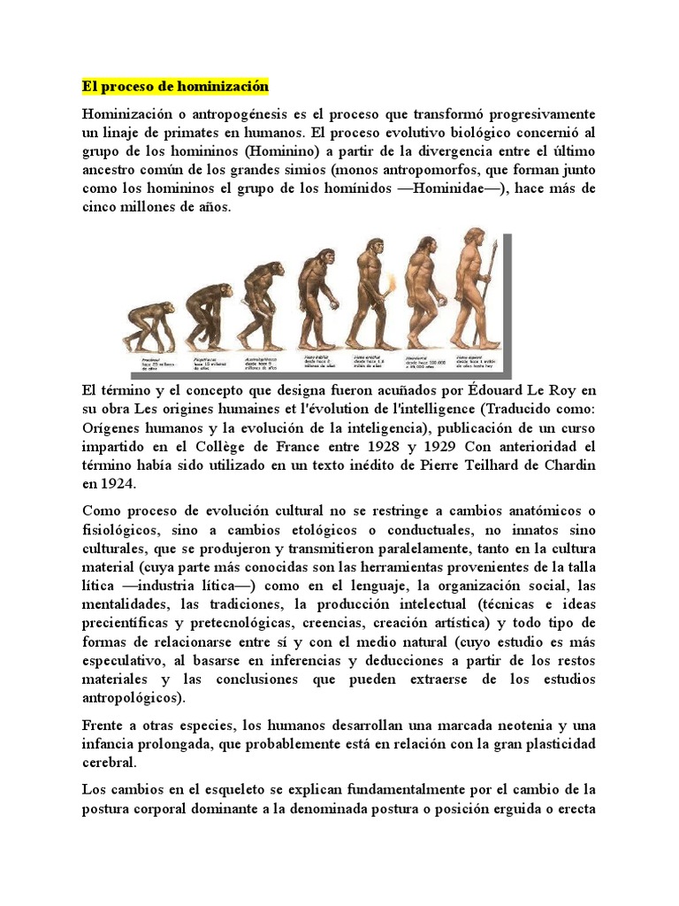 Evolución Humana: De Primates a Humanos | PDF | Evolución de los ...