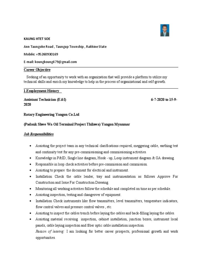 Job Responsibilities PDF Instrumentation Engineering