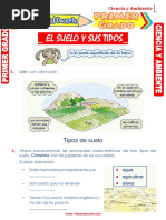 Tipos de Suelo para Niños de Primaria | PDF | Suelo | Ciencias de la Tierra