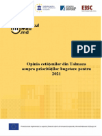 Raport - Talmaza