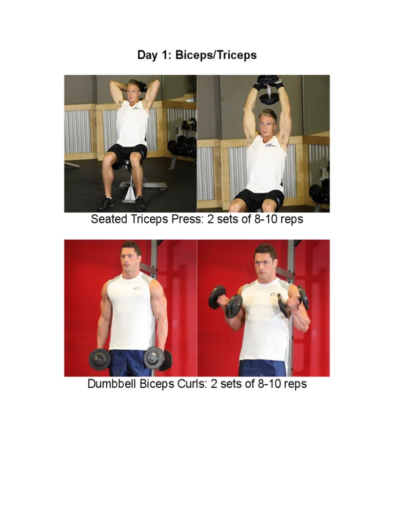 Biceps and Triceps Workout Plan | PDF