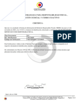 Antecedentes Contraloria PDF