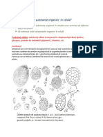 Identificarea Unor Substanțe Organice În Celulă-Amidonul