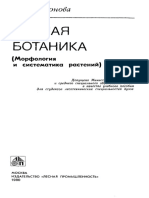 botanika_Rodionova.pdf