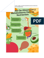 Actividad 2 – Evidencia 3. Documento “Recomendaciones alimentarias”