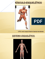 Sistema Esqueletico PDF
