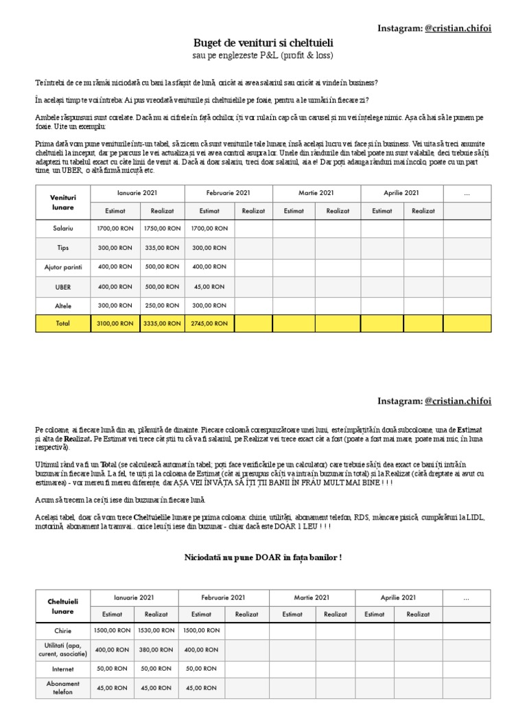 P&L Template PDF | PDF