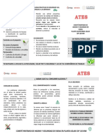 Triptico Ftas Patrias 2020 PDF