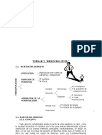 Fund Derecho Uni 5