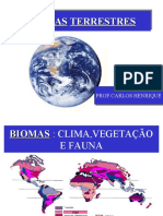 Biomas terrestres e seus principais tipos