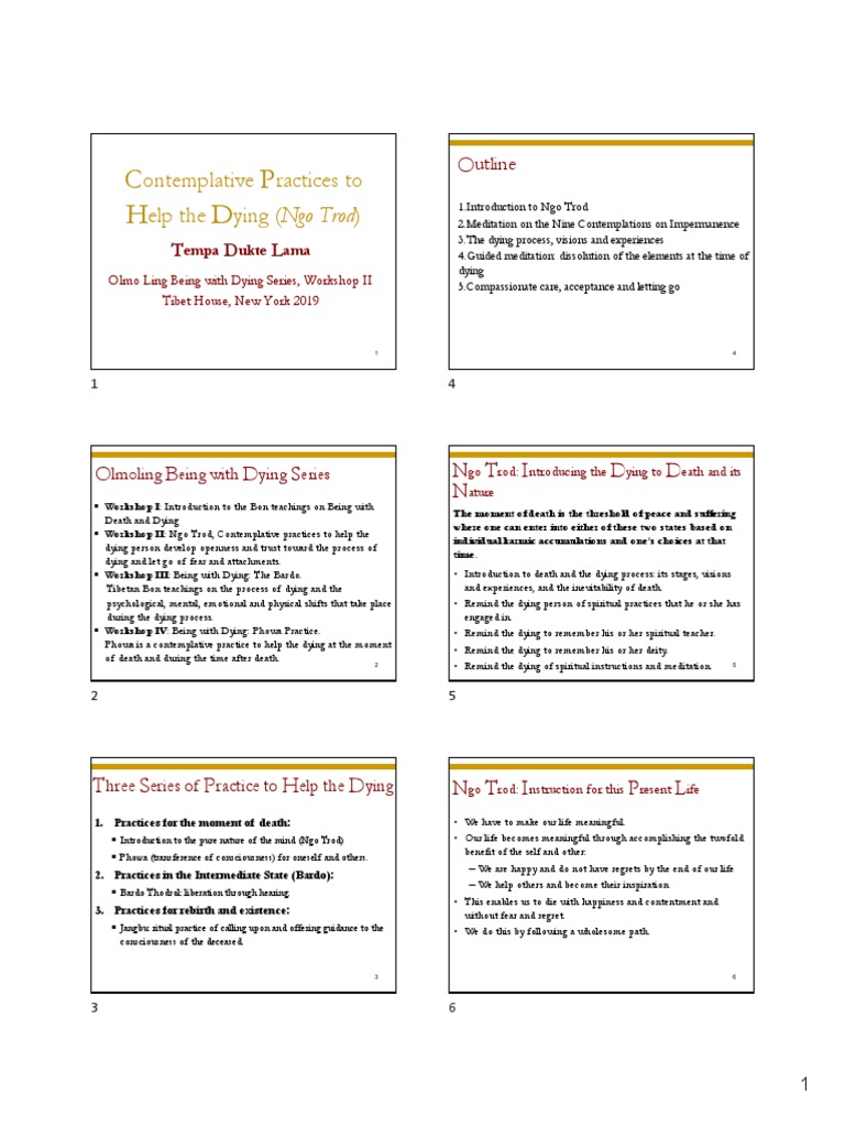 Contemplative Practices To Help Dying. | PDF | Reincarnation | Indian ...