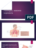Clase Sistema Respiratorio
