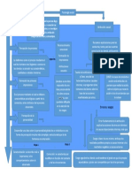 Mapa Conceptual - Social