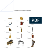Instrumente Orchestrale Comune