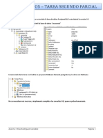Tareas Segundo Parcial PDF