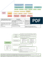 Cuadros Sinópticos Antibióticos