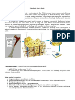 Sistemul Osos PDF
