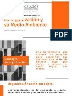 La Organización y Su Medio Ambiente PDF