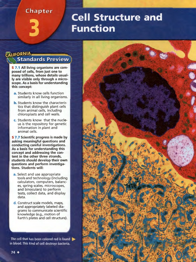 Understanding Cell Structure and Function | PDF | Cytoplasm | Vacuole