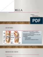 Traumato Rodilla 2-1