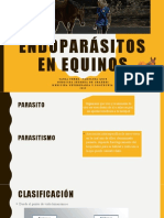 Endoparásitos en Equinos 2