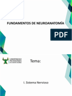 Presentacion Complementaria para Fundamentos de Neuroanatomia